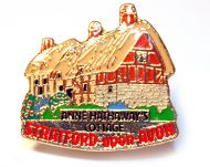 Anne Hathaways pin badge
